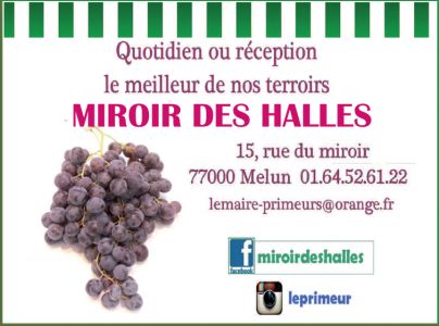 logo Miroir des halles