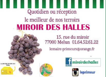 logo Miroir des halles